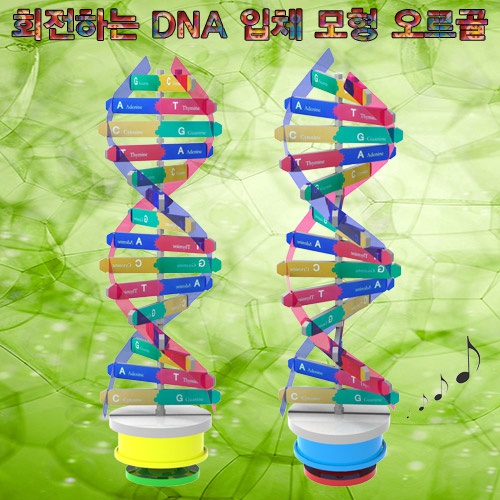 회전하는 DNA 입체 모형 오르골